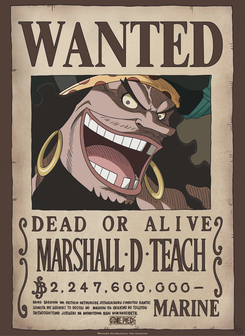 Abystyle Gbydco267 One Piece Wanted Blackbeard Poster 38x52cm | Yourdecoration.com