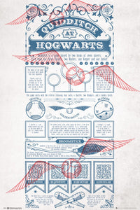 Gbeye Harry Potter Quidditch At Hogwarts Poster 61X91 5cm | Yourdecoration.com