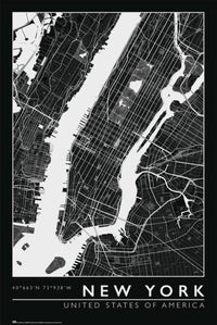 grupo erik gpe5636 new york city map poster 61x91.5cm | Yourdecoration.com
