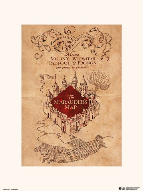 Grupo Erik Harry Potter The Marauders Map Art Print 30x40cm | Yourdecoration.com