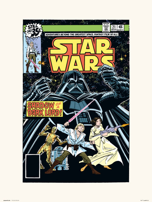Grupo Erik Star Wars 21 Shadow Of A Dark Lord Art Print 30x40cm | Yourdecoration.com
