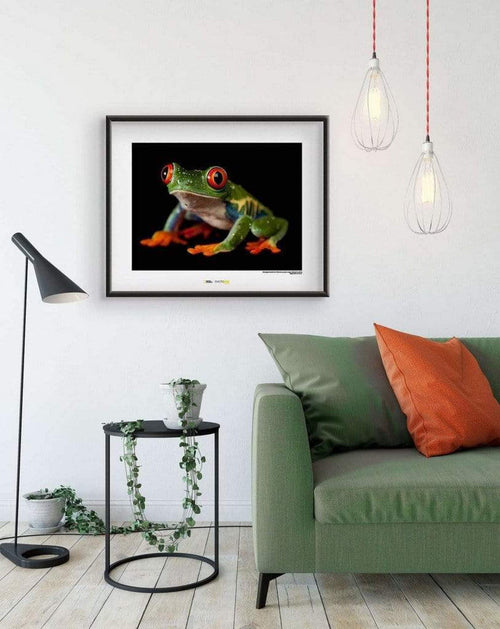 Komar Red eyed Treefrog Art Print 70x50cm Sfeer | Yourdecoration.com