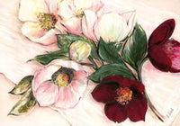 Elisabeth Krobs Elegant Anemones Art Print 100x70cm | Yourdecoration.com