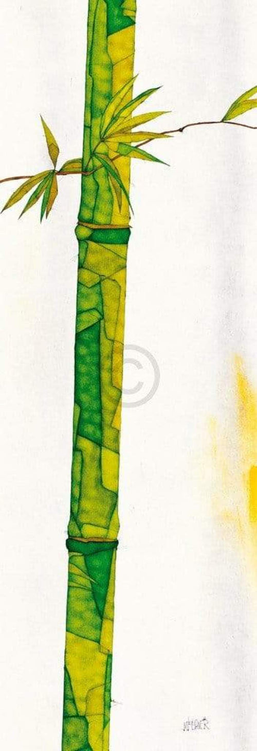 Michael Ferner Bambus Duo II Art Print 34x99cm | Yourdecoration.com