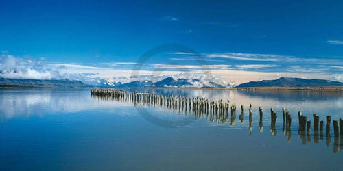 Popp Hackner Kormoräne Art Print 100x50cm | Yourdecoration.com