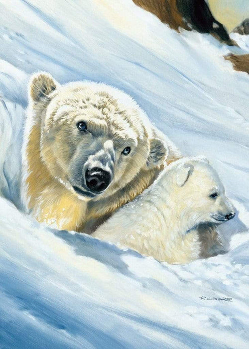 Renato Casaro Eisbär Mama Art Print 50x70cm | Yourdecoration.com