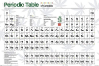 Pyramid Periodic Table Cannabis Poster 61x91,5cm | Yourdecoration.com