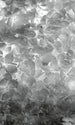 Dimex Apple Tree Abstract II Wall Mural 150x250cm 2 Panels | Yourdecoration.com