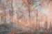 Dimex Colorful Forest Abstract Wall Mural 375x250cm 5 Panels | Yourdecoration.com