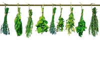 Dimex Herbs Wall Mural 375x250cm 5 Panels | Yourdecoration.com