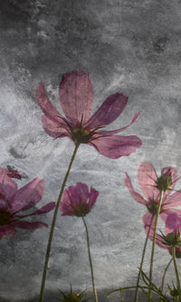 Dimex Violet Flower Abstract Wall Mural 150x250cm 2 Panels | Yourdecoration.com