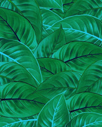 Komar Jungle Leaves Non Woven Wall Mural 200x250cm 2 Panels | Yourdecoration.com