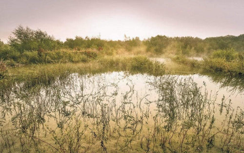 Komar Morning View II Non Woven Wall Mural 400x250cm 4 Panels | Yourdecoration.com