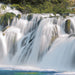 Komar Non Woven Wall Mural 8312 D 1 | Yourdecoration.com