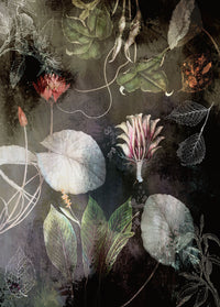 Komar Non Woven Wall Mural Inx4 044 Night Flowers | Yourdecoration.com