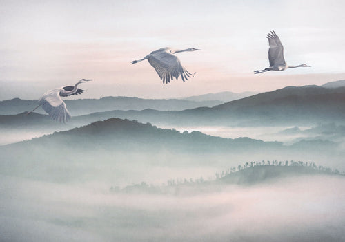 Komar Non Woven Wall Mural Inx8 083 Mystic Cranes | Yourdecoration.com