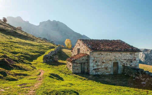 Komar Picos de Europe Alm Non Woven Wall Mural 450x280cm 9 Panels | Yourdecoration.com
