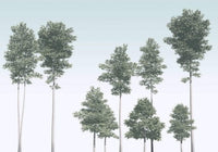 Komar Pines Non Woven Wall Mural 400x280cm 4 Panels | Yourdecoration.com