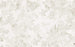 Komar Sheer Grey Non Woven Wall Mural 400x250cm 4 Panels | Yourdecoration.com