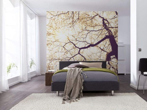 Komar Sunshine Wall Mural 250x250cm 5 Panels Ambiance | Yourdecoration.com
