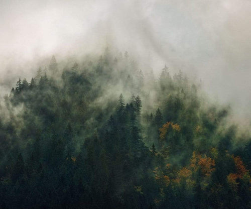 Komar Tales of the Carpathians Non Woven Wall Mural 300x250cm 3 Panels | Yourdecoration.com