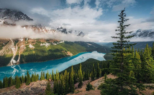 Komar Wonderland Canada Non Woven Wall Mural 450x280cm 9 Panels | Yourdecoration.com