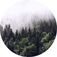 Wizard+Genius Foggy Forest Non Woven Wall Mural 140x140cm Round | Yourdecoration.com