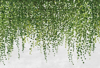 Wizard+Genius Hanging Plants Non Woven Wall Mural 384x260cm 8 Panels | Yourdecoration.com