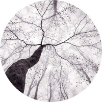 Wizard+Genius Inside the Trees Non Woven Wall Mural 140x140cm Round | Yourdecoration.com