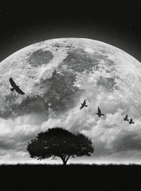 Wizard+Genius Moon and Birds Non Woven Wall Mural 192x260cm 4 Panels | Yourdecoration.com