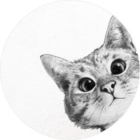 Wizard+Genius Sneaky Cat Non Woven Wall Mural 140x140cm Round | Yourdecoration.com