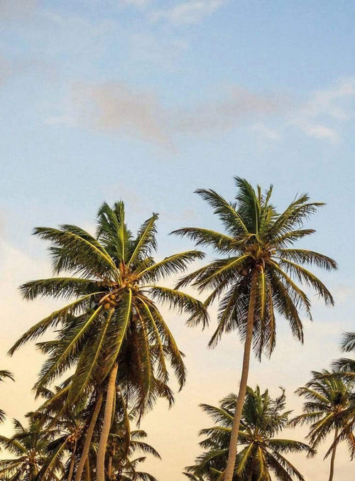 Wizard+Genius Take me to Ibiza Non Woven Wall Mural 192x260cm 4 Panels | Yourdecoration.com