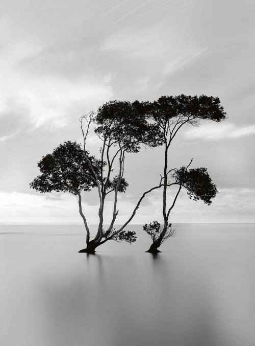 Wizard+Genius Trees In The Still Water Non Woven Wall Mural 192x260cm 4 Panels | Yourdecoration.com