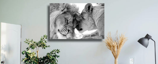 Create more atmosphere in your home with our canvas paintings