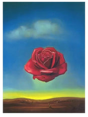 Art Print Salvador Dali Rose Meditative 60x80cm SD 883 | Yourdecoration.com