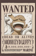 Poster One Piece Wanted Luffy 61x91 5cm PP2501058 | Yourdecoration.com