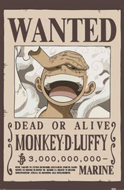 Poster One Piece Wanted Luffy 61x91 5cm PP2501058 | Yourdecoration.com