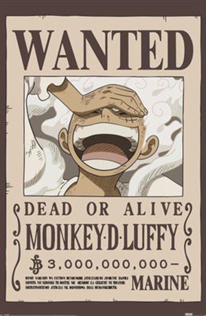 Poster One Piece Wanted Luffy 61x91 5cm PP2501058 | Yourdecoration.com