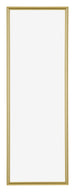 Annecy Plastic Photo Frame 33x98cm Gold Front | Yourdecoration.com