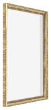 Lyon MDF Canvas Floater Frame 5 7 Gold Antique Front Oblique | Yourdecoration.com