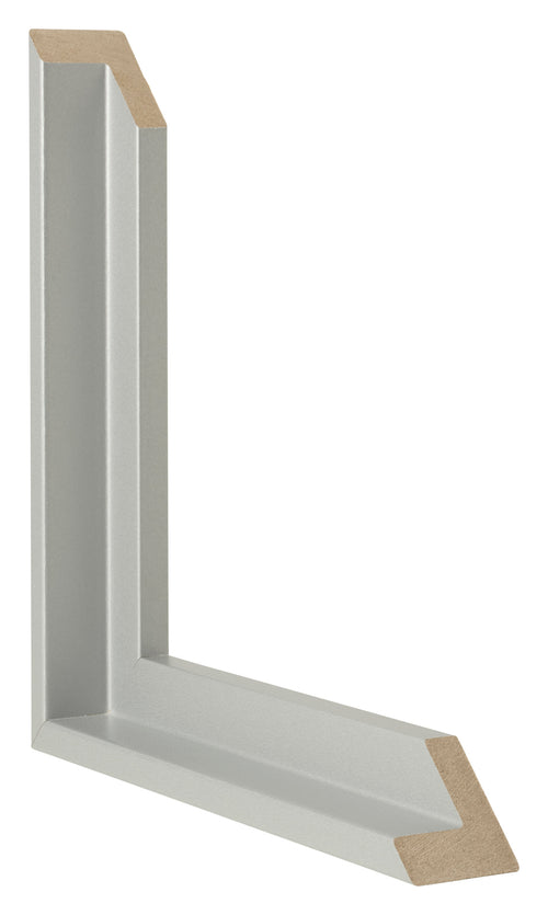 Lyon MDF Canvas Floater Frame Silver Matte Intersection | Yourdecoration.com