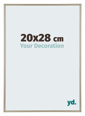 Annecy Plastic Photo Frame 20x28cm Champagne Front Size | Yourdecoration.com