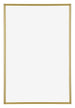 Annecy Plastic Photo Frame 61x91 5cm Gold Front | Yourdecoration.com