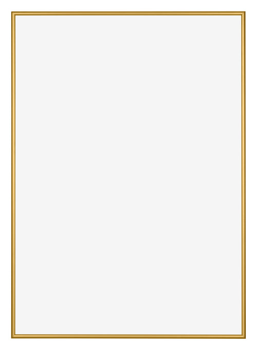 New York Aluminium Photo Frame 49x68cm Gold Shiny Front | Yourdecoration.com