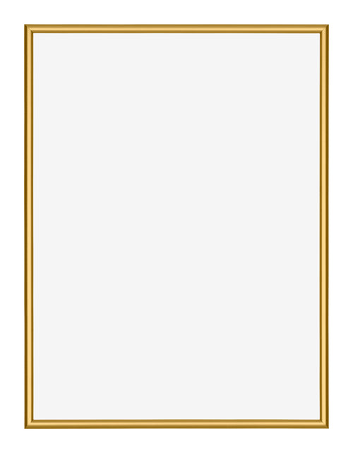 New York Aluminium Photo Frame 60x80cm Gold Shiny Front | Yourdecoration.com