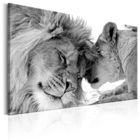Canvas Print Lions Love 120x80cm