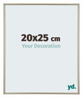 Annecy Plastic Photo Frame 20x25cm Champagne Front Size | Yourdecoration.com