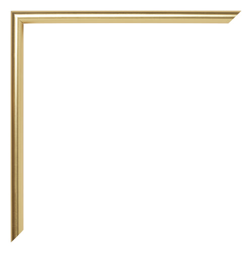 Annecy Plastic Photo Frame 20x25cm Gold Detail Corner | Yourdecoration.com