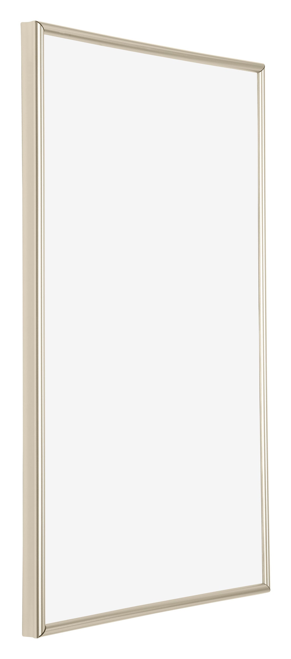 Annecy Plastic Photo Frame 20x30cm Champagne Front Oblique | Yourdecoration.com