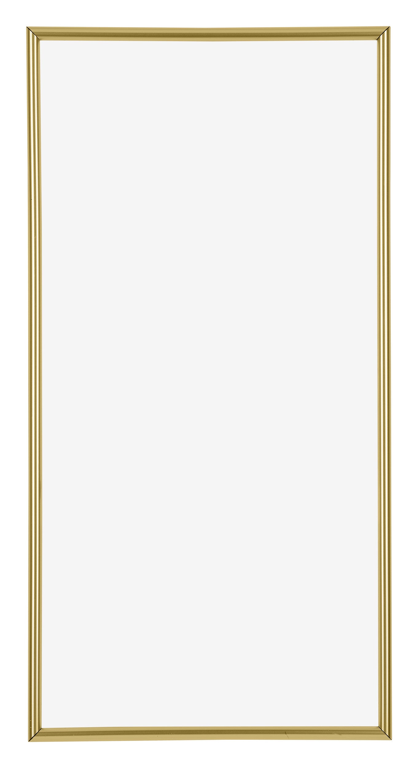 Annecy Plastic Photo Frame 20x40cm Gold Front | Yourdecoration.com